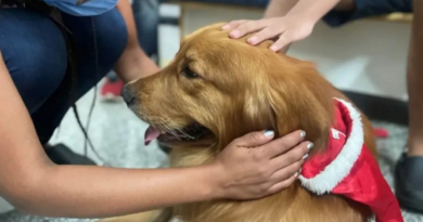 Terapia assistida com animais