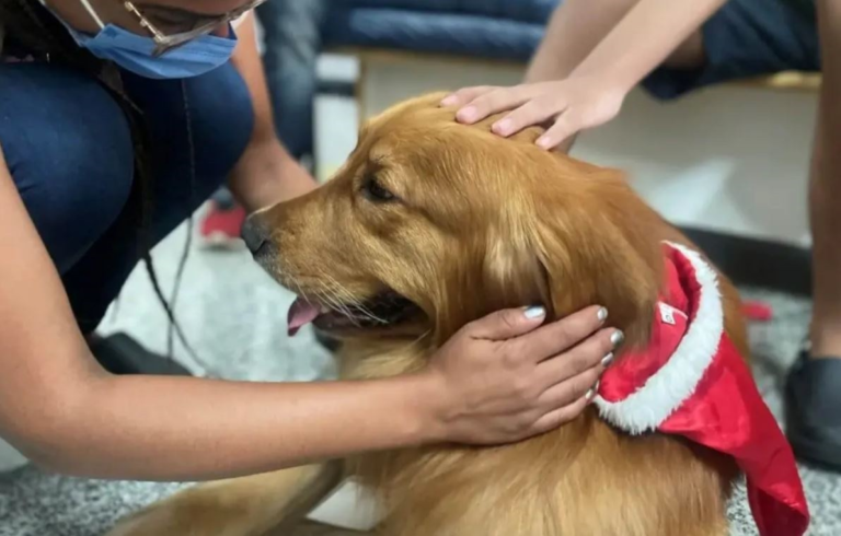 Terapia assistida com animais