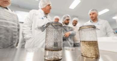 Tecnologia Wolbachia no Brasil para controle da dengue e arboviroses.